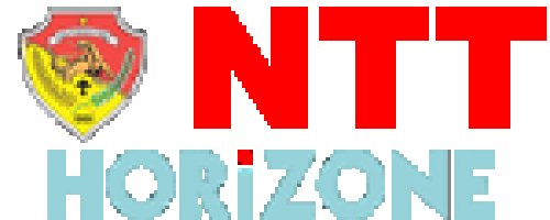 Horizone NTT
