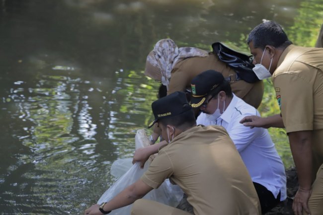 Jadikan Lokasi Ikan Larangan, Bibit Ikan Dilepas di Batang Gawan Solok