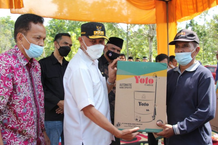 Ada 100 Hektar Lahan Tidur di Anau Kadok Talang, Masyarakat Butuh Bantuan Bibit Jagung