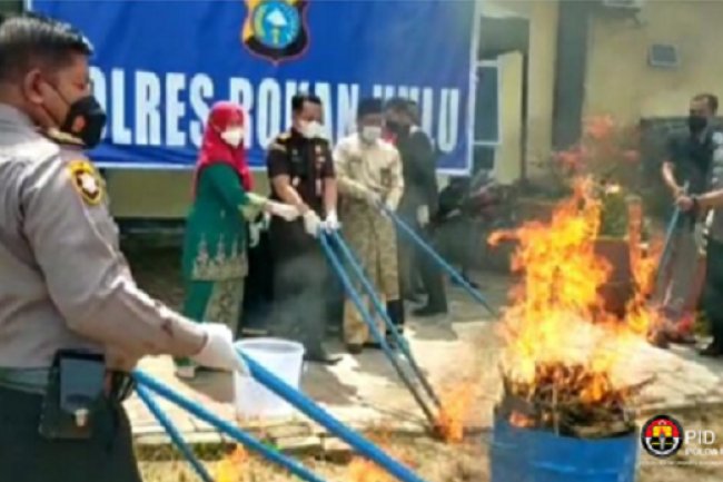Polres Rohul Bakar Barbuk 10 Kg  Ganja Kering Hasil Sitaan dari Bandar Narkoba  