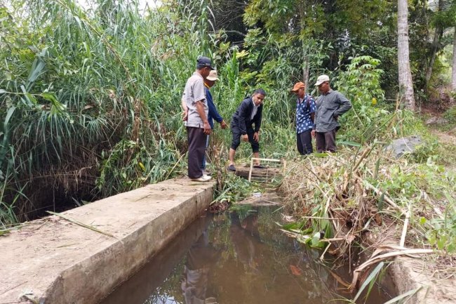 Wawako Solok: Sumber Mata Air Batang Imang Payo Berpotensi Sebagai Sumber Pengairan Sawah