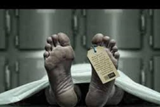 Nyaris Tinggal Kerangka, Penemuan Mayat Tak Dikenal Hebohkan Warga  Siak Hulu  Kampar