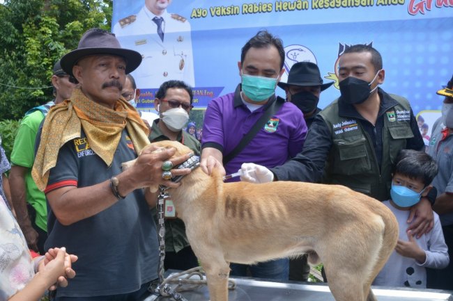 Sumbar Termasuk Tertinggi Kasus Rabies, Wagub Audy Ajak PORBI Lakukan Vaksin Hewan Pemburu  