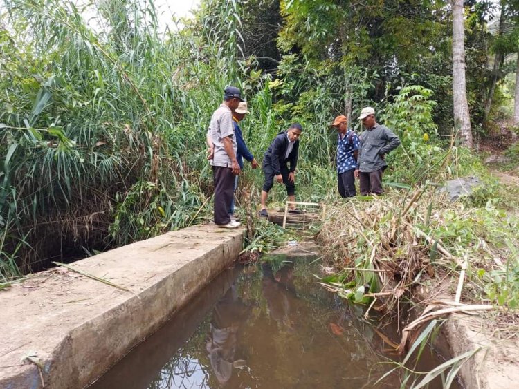 Wawako Solok: Sumber Mata Air Batang Imang Payo Berpotensi Sebagai Sumber Pengairan Sawah