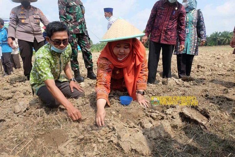 Tingkatkan Produksi Pertanian, 5 Keltan Terima Bantuan Alat Pertanian dan Benih Jagung dari Pemkab Muaro Jambi