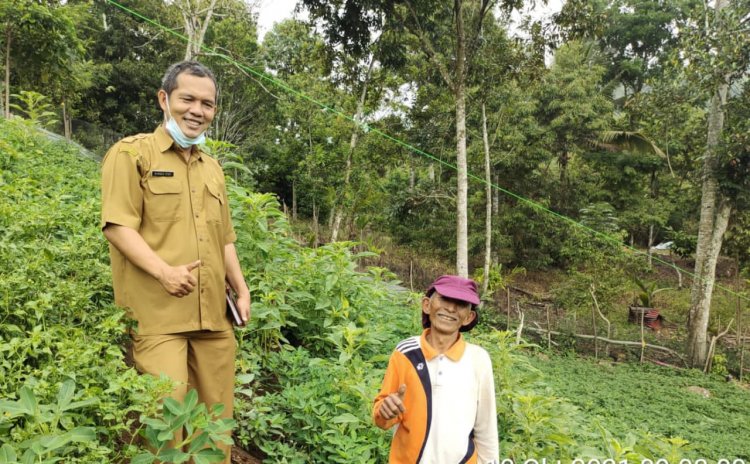 Kacang Tanah Komoditi Menjanjikan, Petani  Tanah Garam Terkendala Bibit  Unggul   