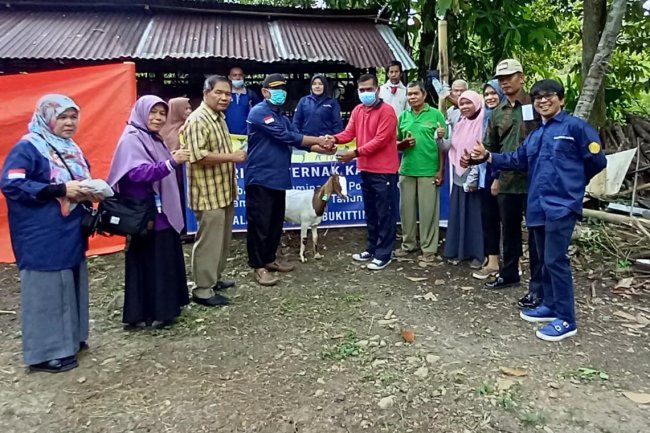 Kelompok Tani Keluarga Sepakat Kota Solok Terima Ternak Kambing Pengembangan Ruminansia Potong