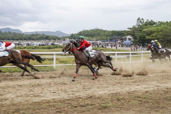 Sawahlunto Derby 2021 Sukses, Cahaya Delima Kuasai Gelanggang Pacuan Kuda Kandi