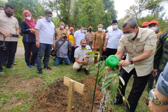 Lestarikan Lingkungan, Gubri Syamsuar Tanam Pohon dan Tebar Benih di Kabupaten Indragiri Hulu