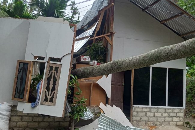 Miris, Sebuah Rumah  Ambruk Ditimpa Pohon di Kelurahan Tanah Garam Solok