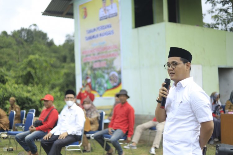 Kelompok Tani Titian Aie  Solok Budidayakan Tanaman Manggis