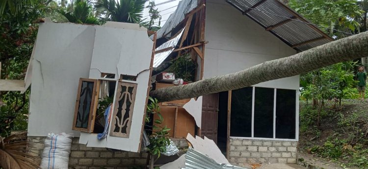 Miris, Sebuah Rumah  Ambruk Ditimpa Pohon di Kelurahan Tanah Garam Solok