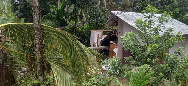 Miris, Sebuah Rumah  Ambruk Ditimpa Pohon di Kelurahan Tanah Garam Solok
