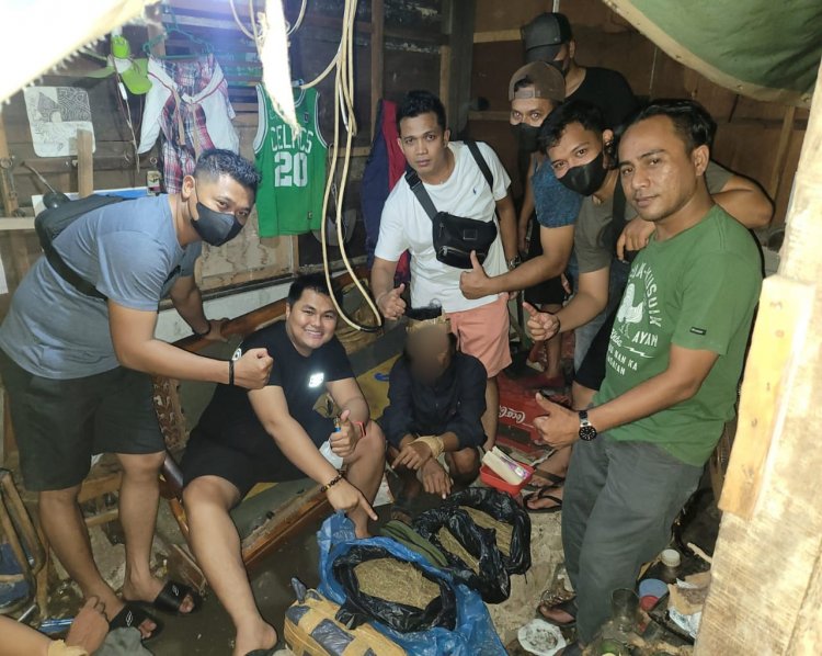 Tim Opsnal Satnarkoba Polresta Padang Tangkap  Terduga Narkoba dan Sita Paket Ganja