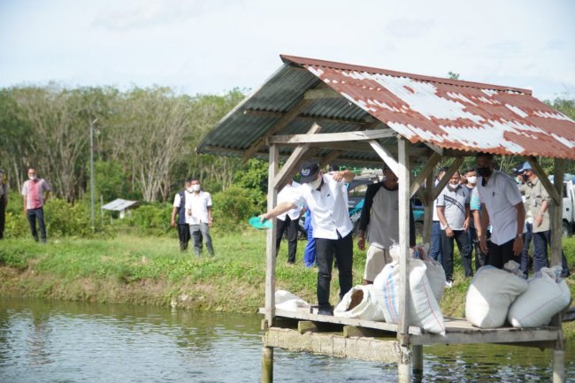 FAO Tinjau Produksi Ikan Salai Koto Masjid Kampar Bersama Sekjen Kementerian Kelautan dan Perikanan RI