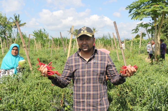Audiensi dengan Keltan di Payakumbuh, Wagub Audy Joinaldy Dorong Kelompok Tani Bangun Sistem Pertanian Terpadu