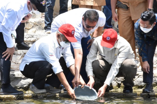 4000 Ikan Bilih Hasil Pembenihan PT. Semen Padang Dilepas di Danau Singkarak