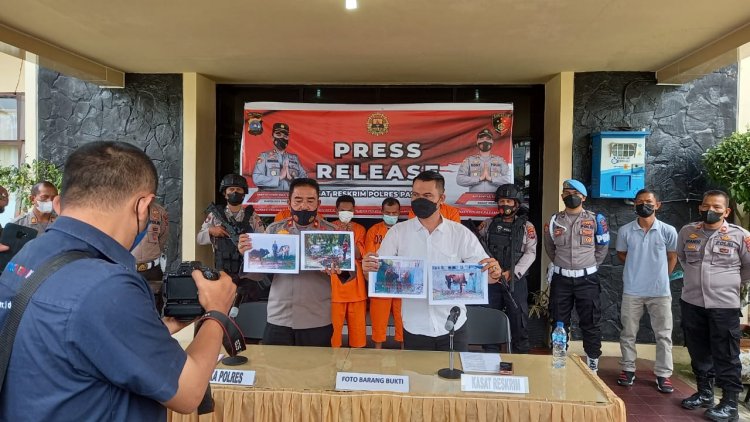 Satreskrim Polres Pasaman Amankan Empat Tersangka Pencuri Sapi dan Kerbau