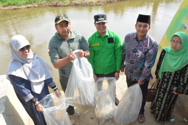 Wagub Audy Joinaldy Tebar 15 Ribu Bibit Ikan Nila Di Sungai Pematang Panjang