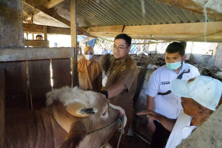 Kotoran Ternak Punya Nilai Ekonomis Tinggi