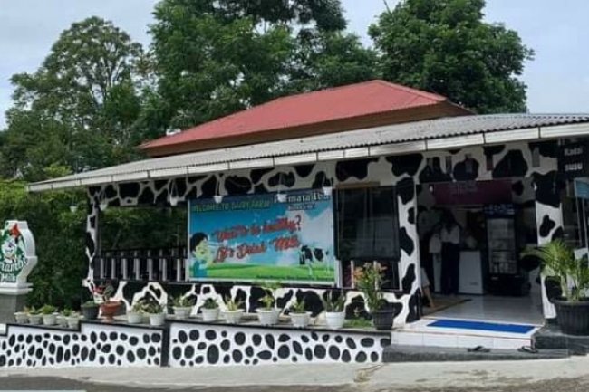 UPS Permata Ibu Padang Panjang Mengolah Susu Murni Menjadi adi Siap Saji