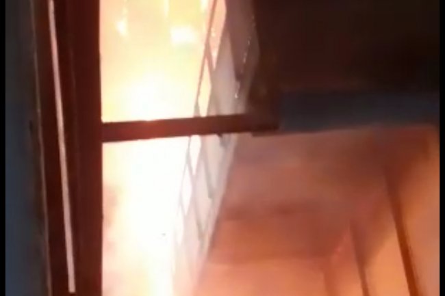 Pabrik Pengolahan Kelapa Sawit PT. Perkebunan Nusantara VI di Pasaman Barat Terbakar 