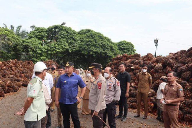 Bupati Dharmasraya Sidak ke Pabrik Sawit Ancam Cabut Izin Usaha