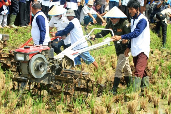 Plt.Kadis Pertanian Tanah Datar Sri Mulyani  :  Tidak Terdaftar di DTKS dan Simluhtan Petani Masih Bisa Nikmati Program Bajak Gratis 