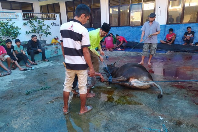 Anggota DPRD Kota Solok Taufiq Nizam Imam Sholat Idul Adha di Masjid Iqrar Galanggang Tangah IX Korong