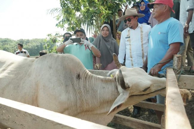 4 Program Unggulan Kabupaten Tanah Datar di Bidang Pertanian 
