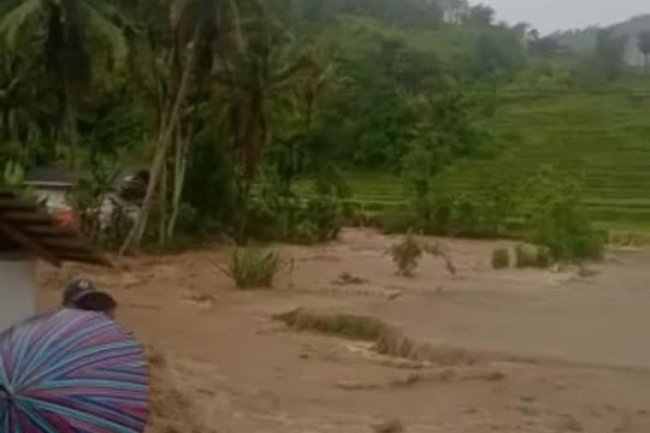 Akibat Batang Simanang-Manang Meluap, Puluhan Hektar Sawah Nagari Garabak Data di Rendam Banjir 