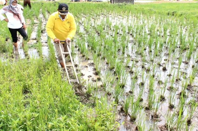 Kembangkan Ampai, Posyantek Limo Kaum Terbaik III Lomba Posyantek Tingkat Sumbar