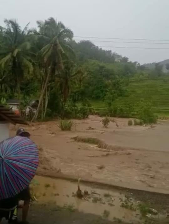 Akibat Batang Simanang-Manang Meluap, Puluhan Hektar Sawah Nagari Garabak Data di Rendam Banjir 