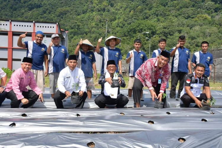 Tekan Inflasi Wali Kota Padang Ajak Warga Binaan Tanam Cabe