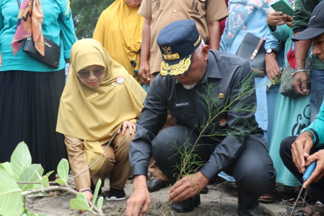 Cegah Abrasi Pantai, Gubernur Sumbar Tanam 1.400 Batang Cemara Laut di Pantai Kampung Sumedang 