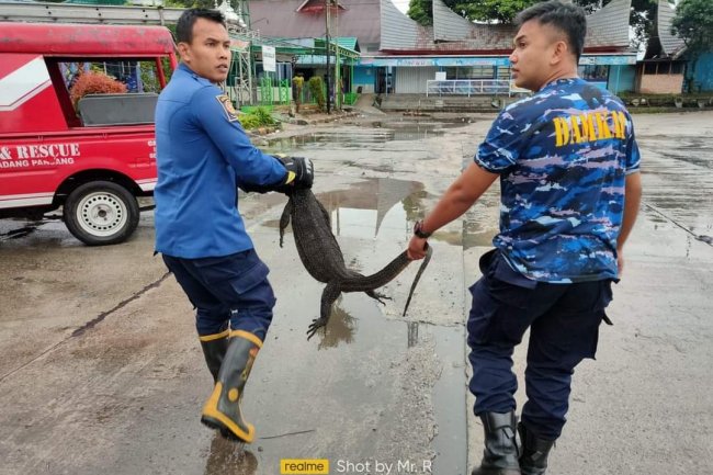 Aparatur Dishub Padang Panjang Panik 