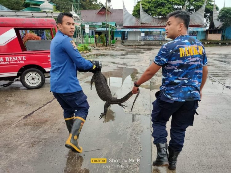 Aparatur Dishub Padang Panjang Panik 