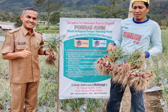 Panen Perdana Pupuk Organik Pornas Di Nagari Talang Babungo 