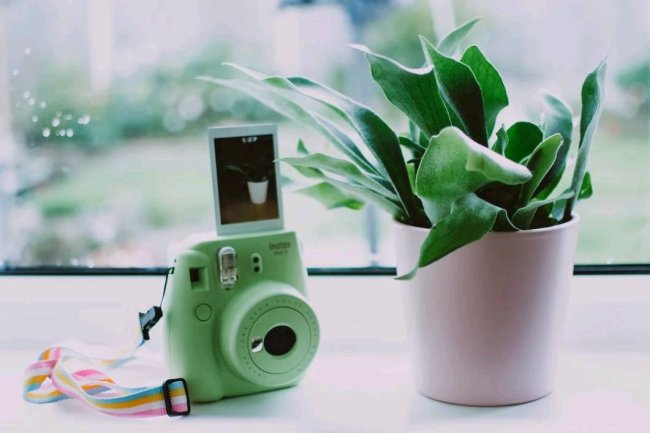 Kamera Polaroid  Masih Sangat Diminati,  Ini Lima Keunggulan yang Perlu di Ketahui