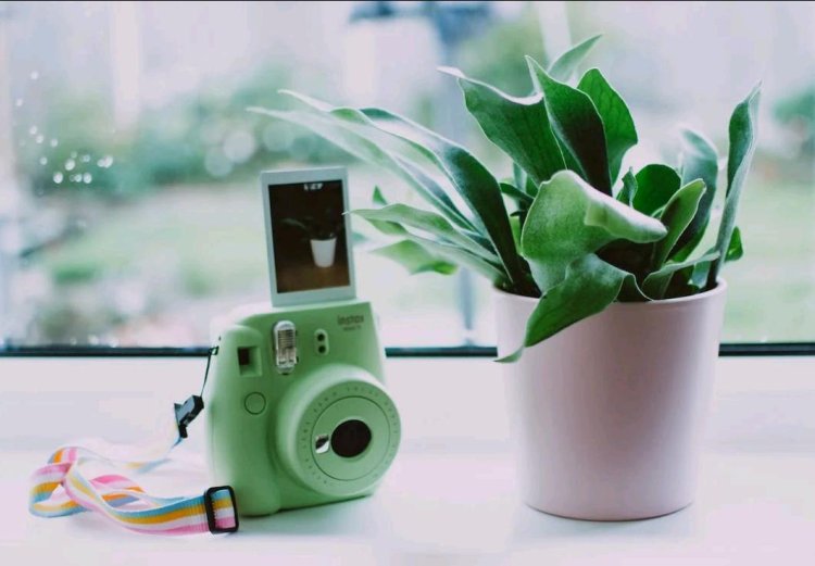 Kamera Polaroid  Masih Sangat Diminati,  Ini Lima Keunggulan yang Perlu di Ketahui