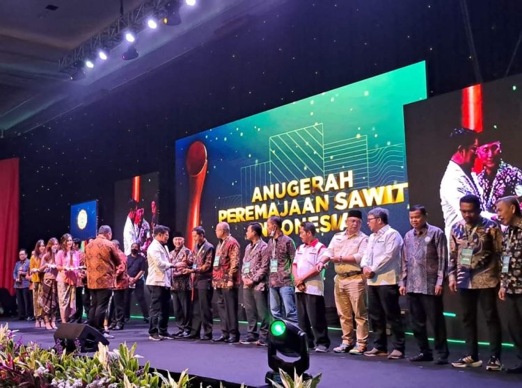 Pemkab Pasbar Terima Penghargaan PSR Pada Rakor Kelapa Sawit Nasional 2023 di Jakarta 