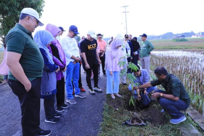 Sabtu Hijau Di Sawah Solok