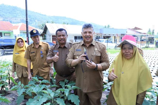 Panen Perdana Di Kebun Forkopimda Kota Solok