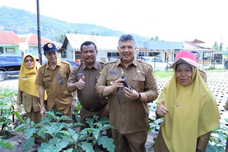 Panen Perdana Di Kebun Forkopimda Kota Solok
