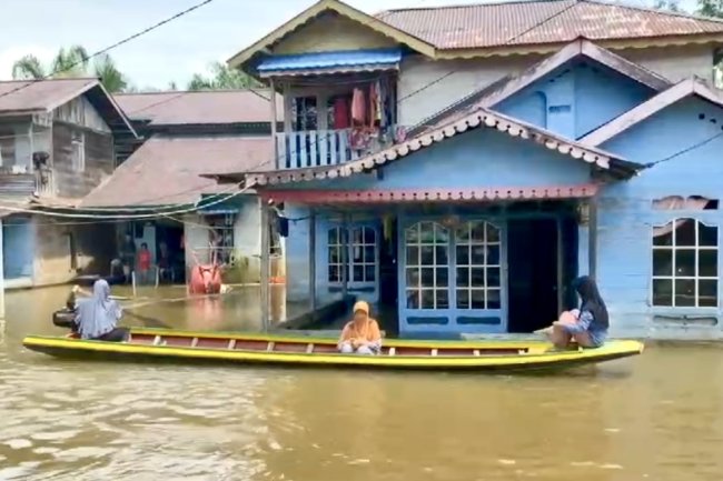 Banjir Sambas Rendam  937 Hektar Lahan Pertanian Masyarakat