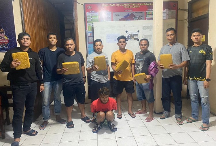 Tim Spider Polres Solok Tangkap Tersangka Narkoba di Koto Baru,  Enam Paket Besar Daun Ganja  Disita