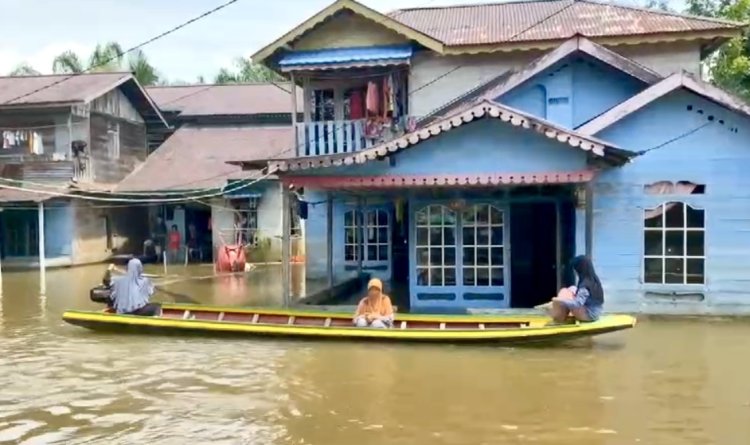 Banjir Sambas Rendam  937 Hektar Lahan Pertanian Masyarakat