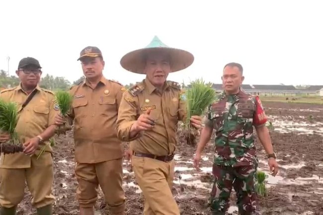 Sambut Musim Gadu, Pj Wali Kota Pontianak Tanam Padi Bersama Petani di Kelurahan Batu Layang