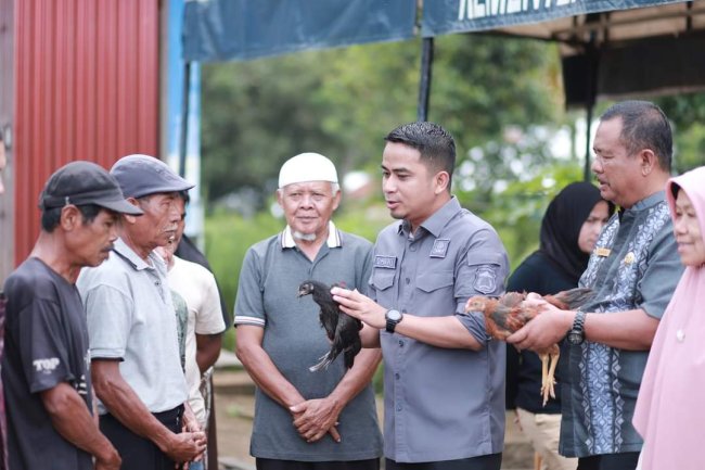Diserahkan Wawako Ramadhani, 11 Keltan  Kota Solok Terima Bantuan Ayam KUB Dari Provinsi