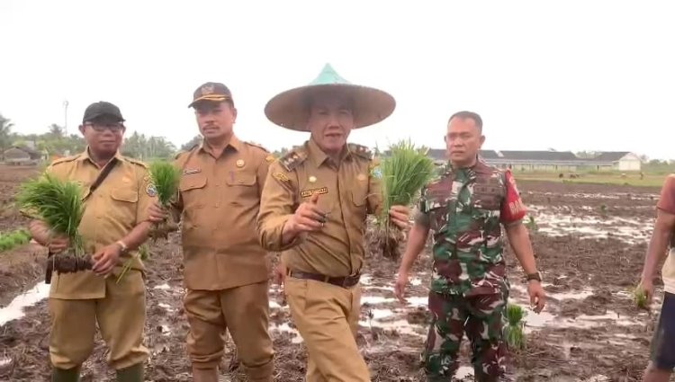 Sambut Musim Gadu, Pj Wali Kota Pontianak Tanam Padi Bersama Petani di Kelurahan Batu Layang